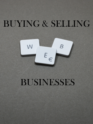 Buying & Selling Web Businesses